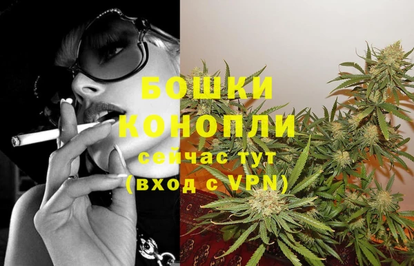 шишки Покров