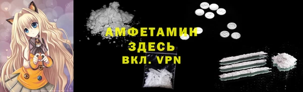 ECSTASY Пересвет