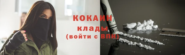 ECSTASY Пересвет