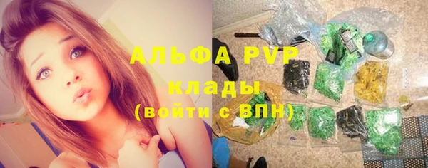 ECSTASY Пересвет