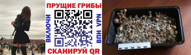 Галлюциногенные грибы ЛСД  Сосенский 